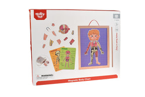 Magnetic Body Chart 30x40x1cm