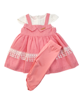 Baby Girl Embroidered Pink Dress With Trouser