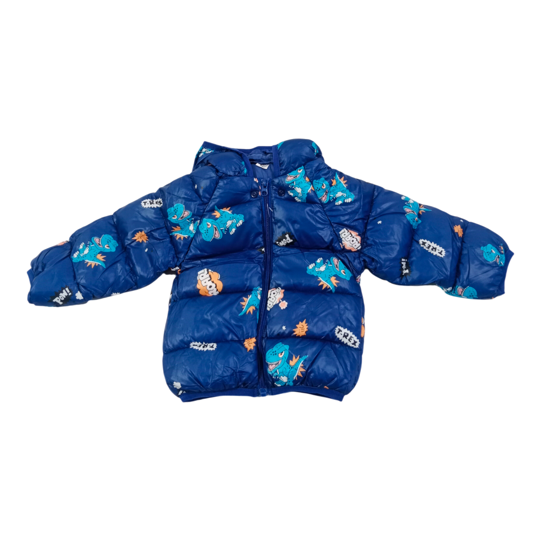 Sweet Dino Printed  Winter Jacket