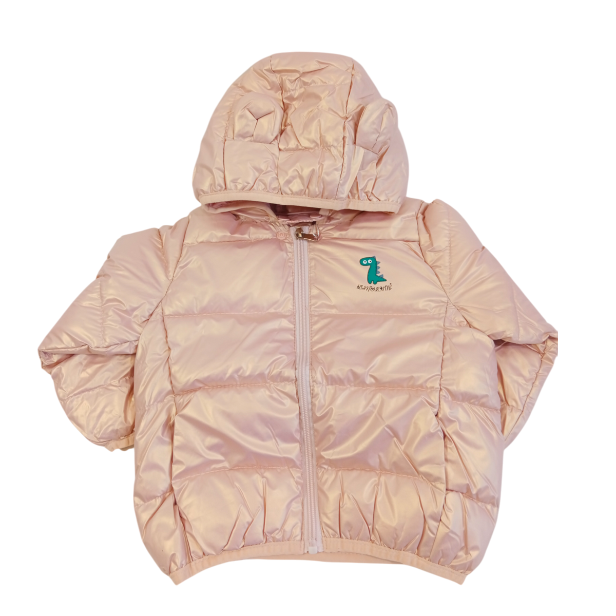 Dinosaur Winter Warm Jacket