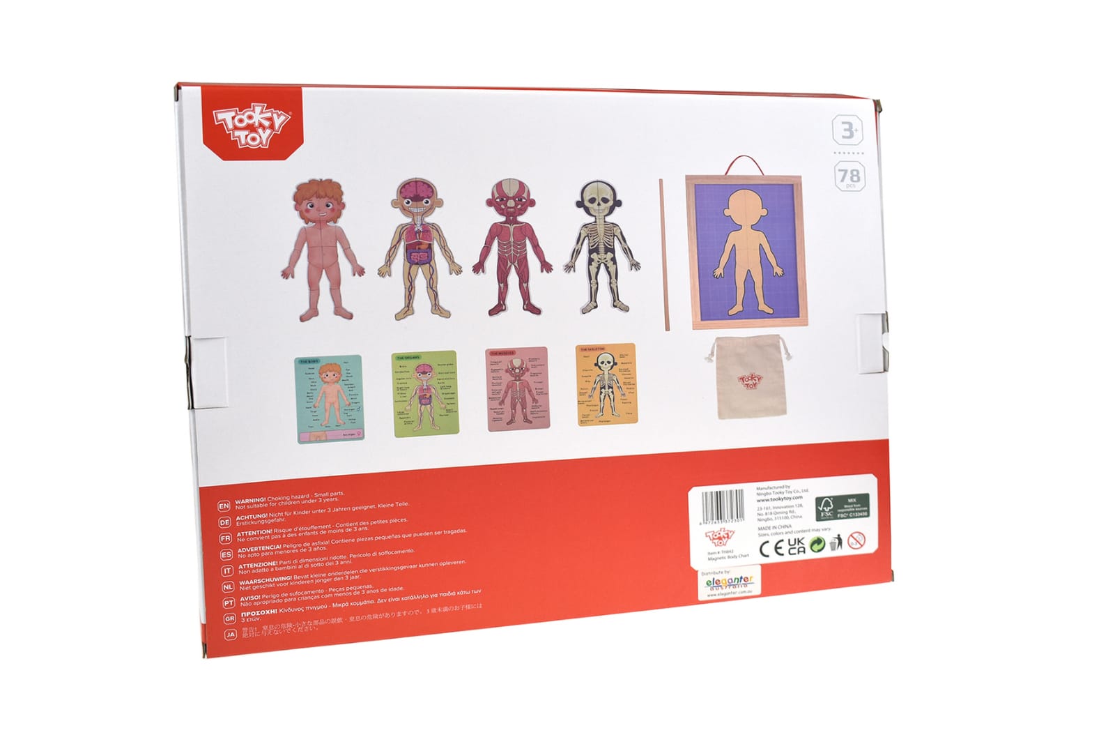 Magnetic Body Chart 30x40x1cm