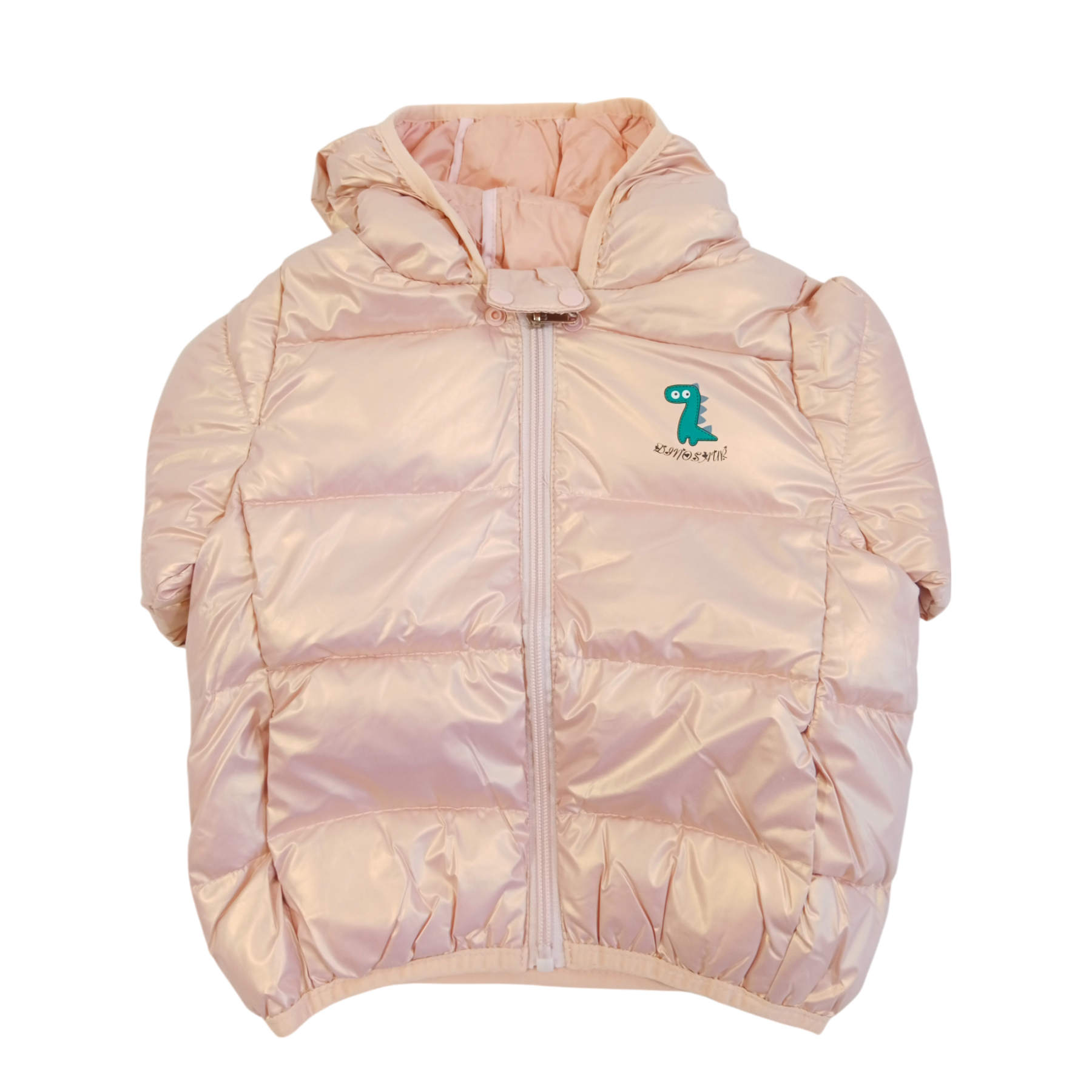 Dinosaur Winter Warm Jacket