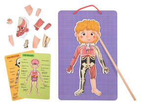 Magnetic Body Chart 30x40x1cm