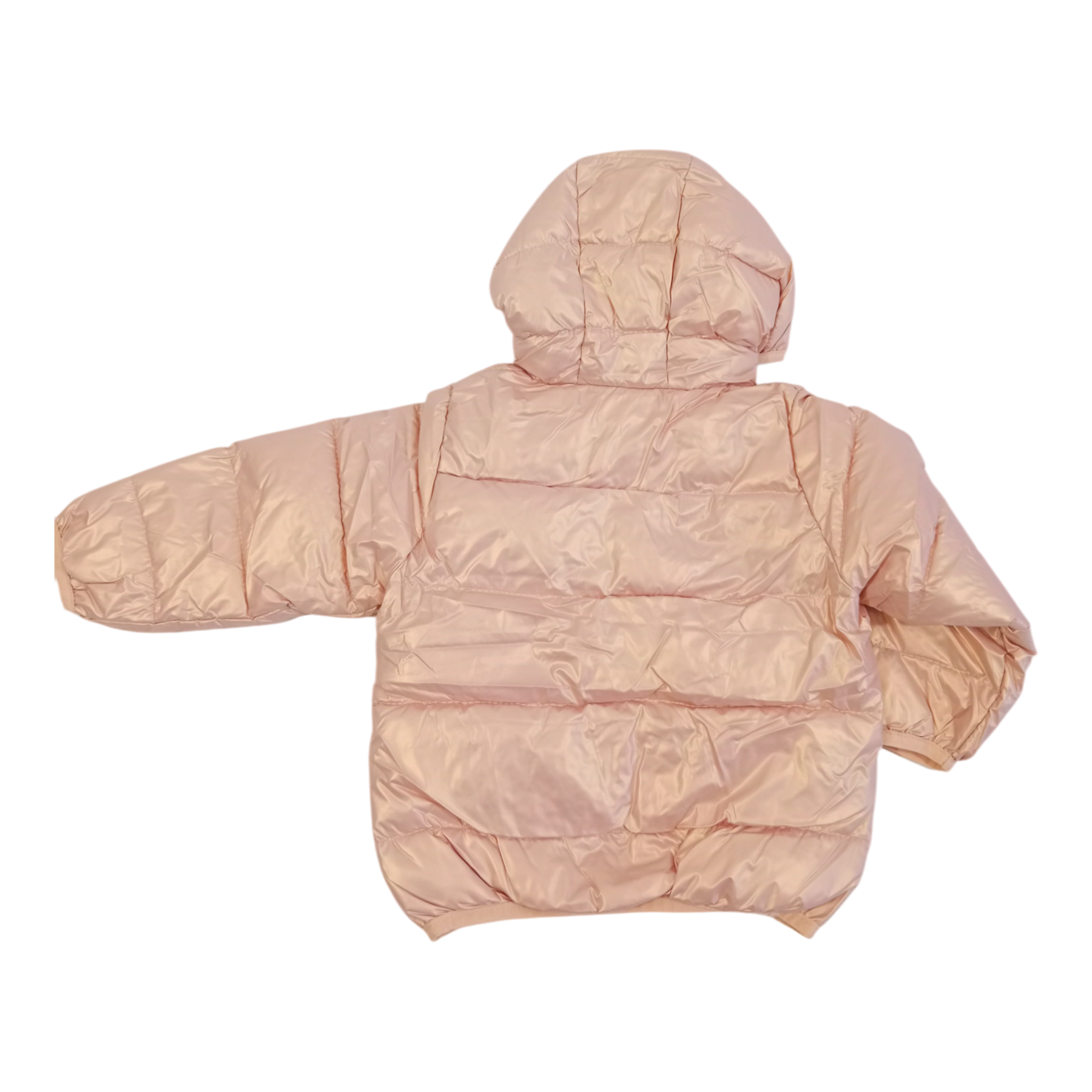 Dinosaur Winter Warm Jacket