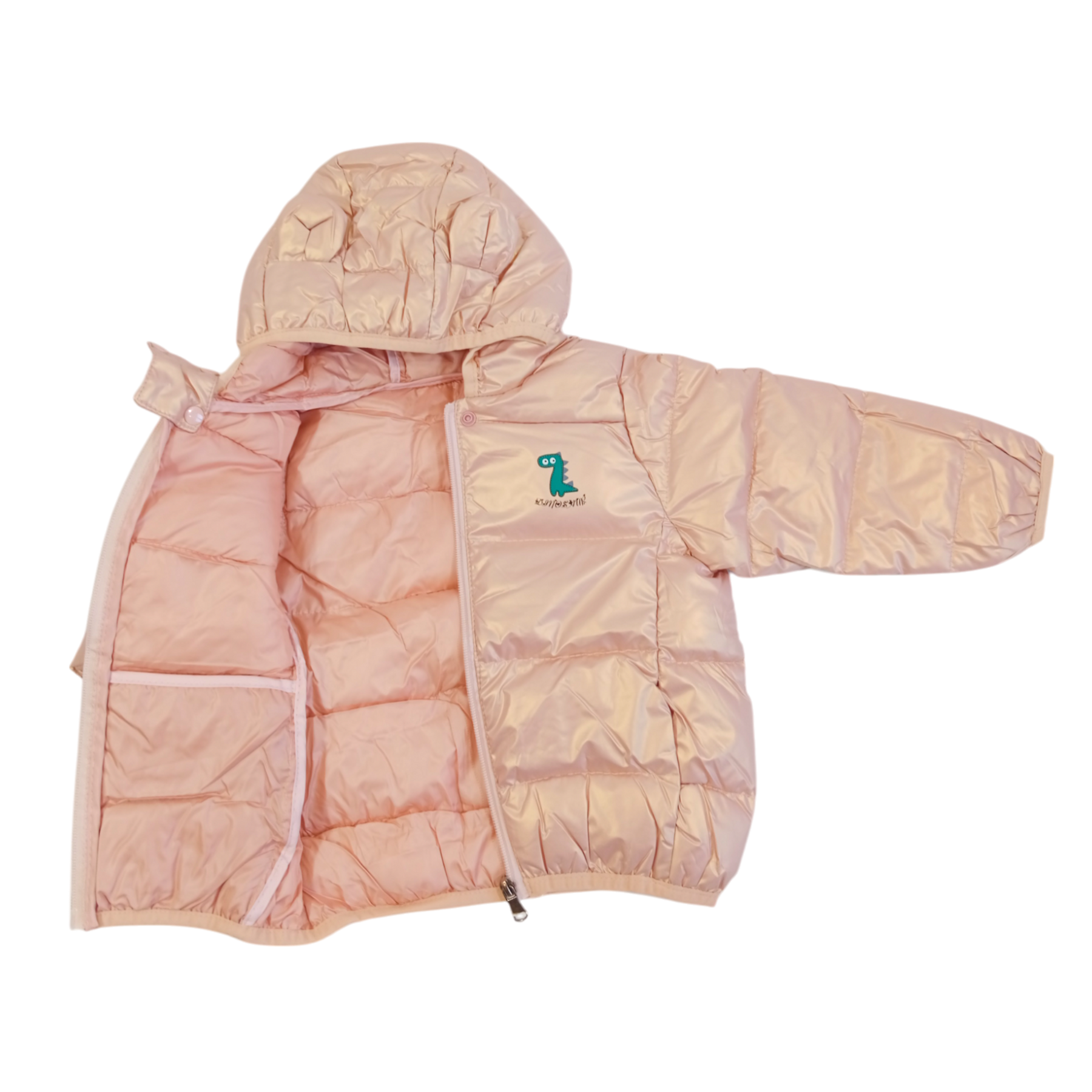 Dinosaur Winter Warm Jacket