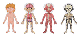 Magnetic Body Chart 30x40x1cm